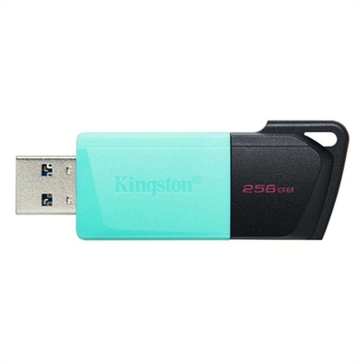 Memorie USB Kingston DataTraveler DTXM 256 GB 256 GB