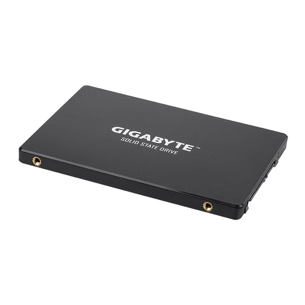 Hard Disk Gigabyte GP-GSTFS31256GTND 256 GB SSD