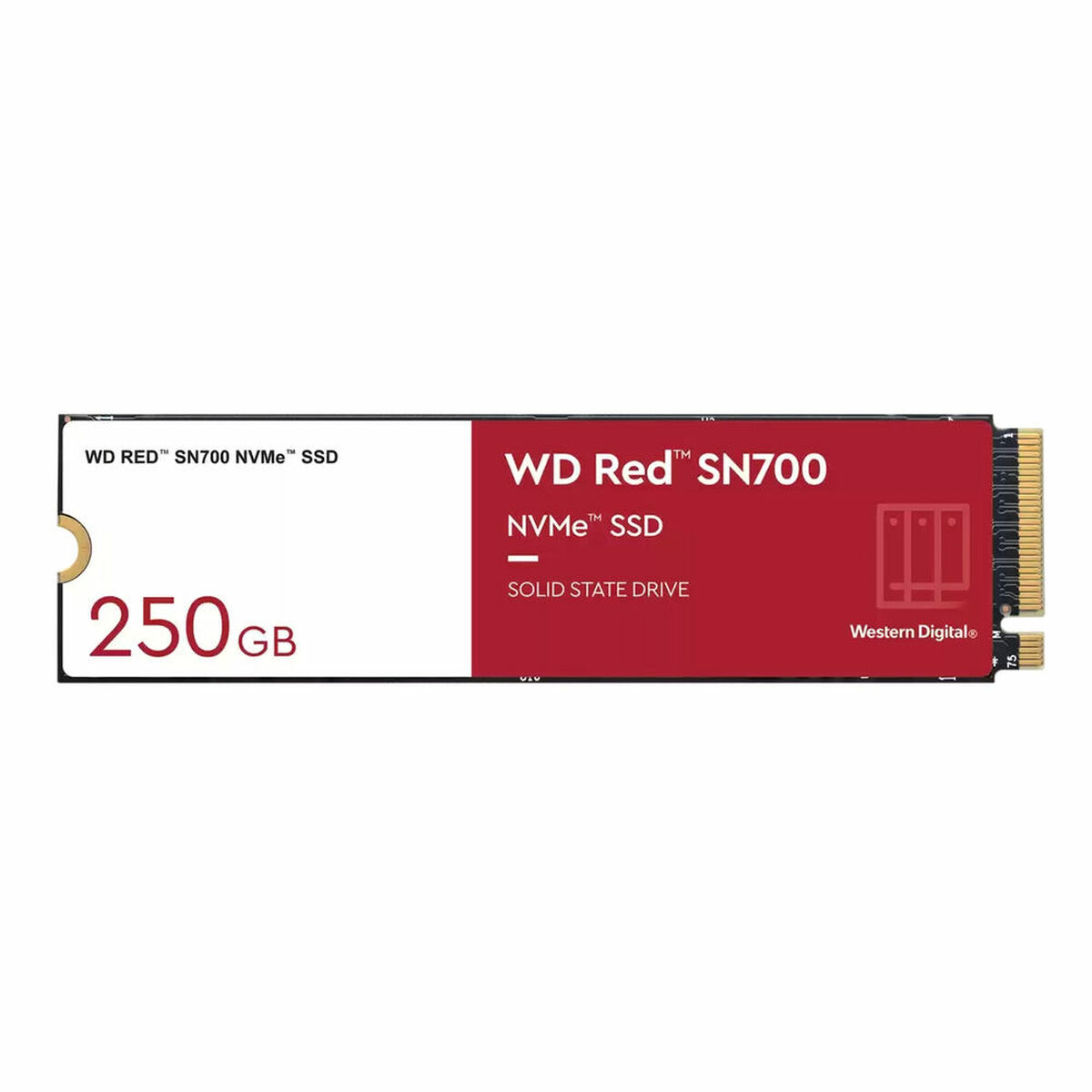 Hard Disk Western Digital RED SN700 250 GB