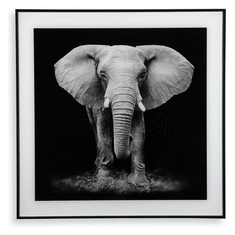 Tablou Elephant (2 x 50 x 50 cm)