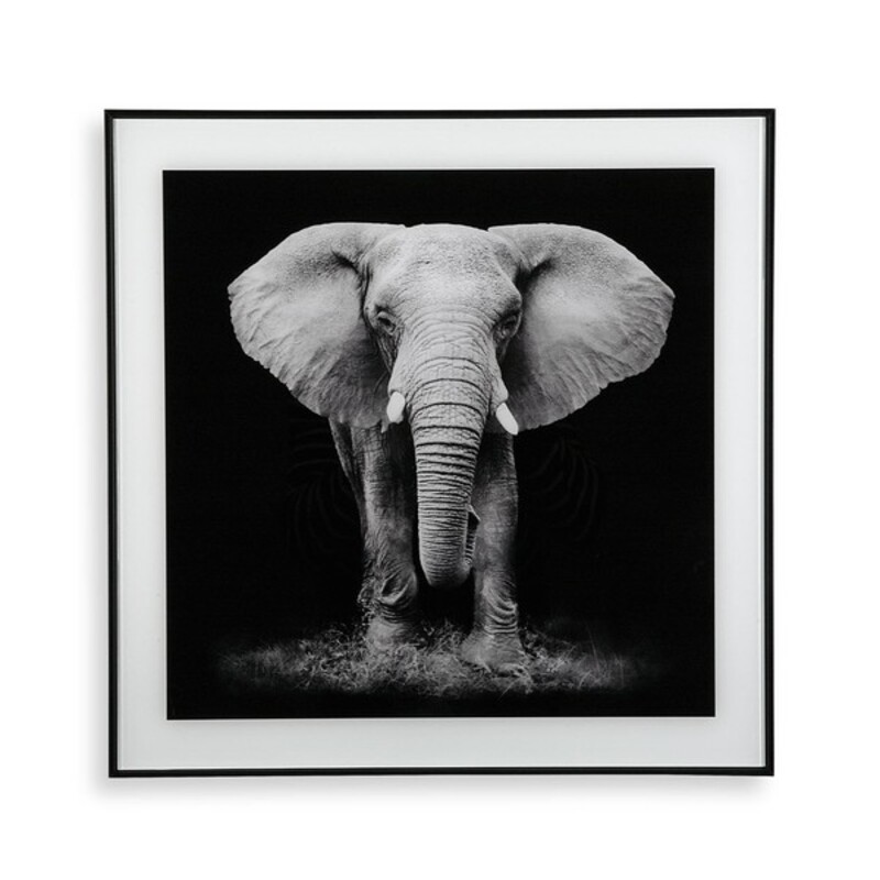 Tablou Elephant (2 x 50 x 50 cm)