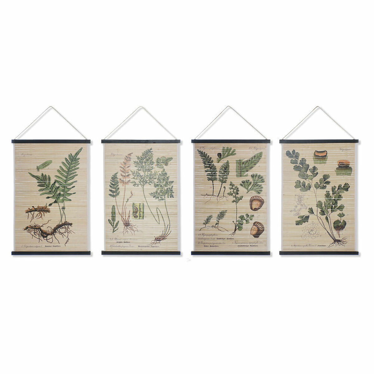 Pânză DKD Home Decor Plante botanice (4 pcs) (60 x 2 x 90 cm)