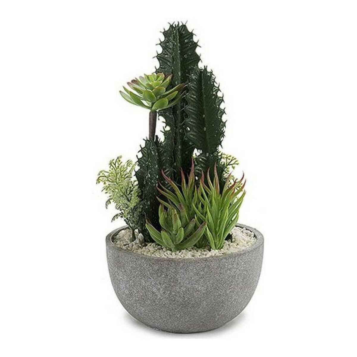 Cactus Cactus (17 x 30 x 17 cm)