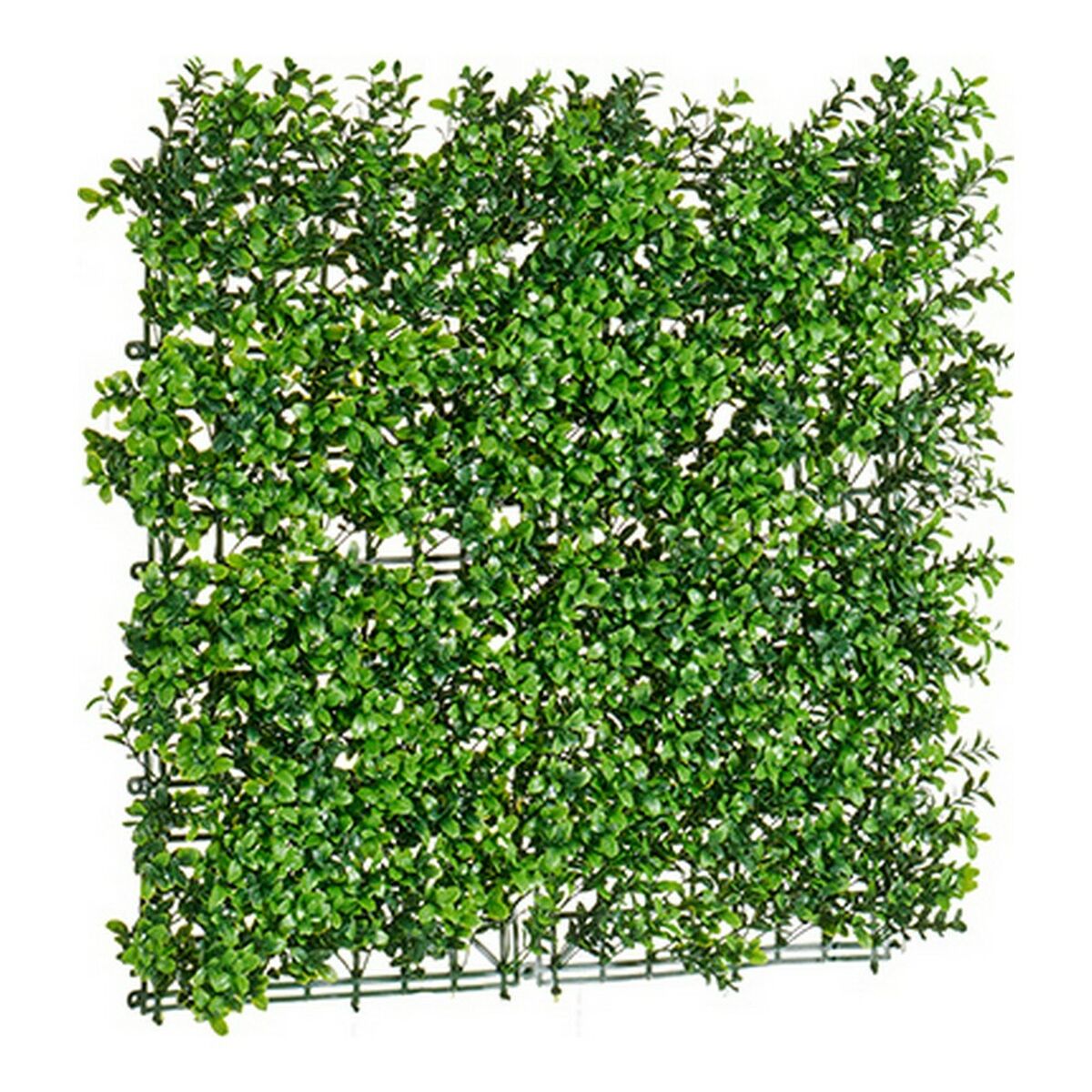 Plantă decorativă Verde Plastic (50 x 5 x 50 cm)