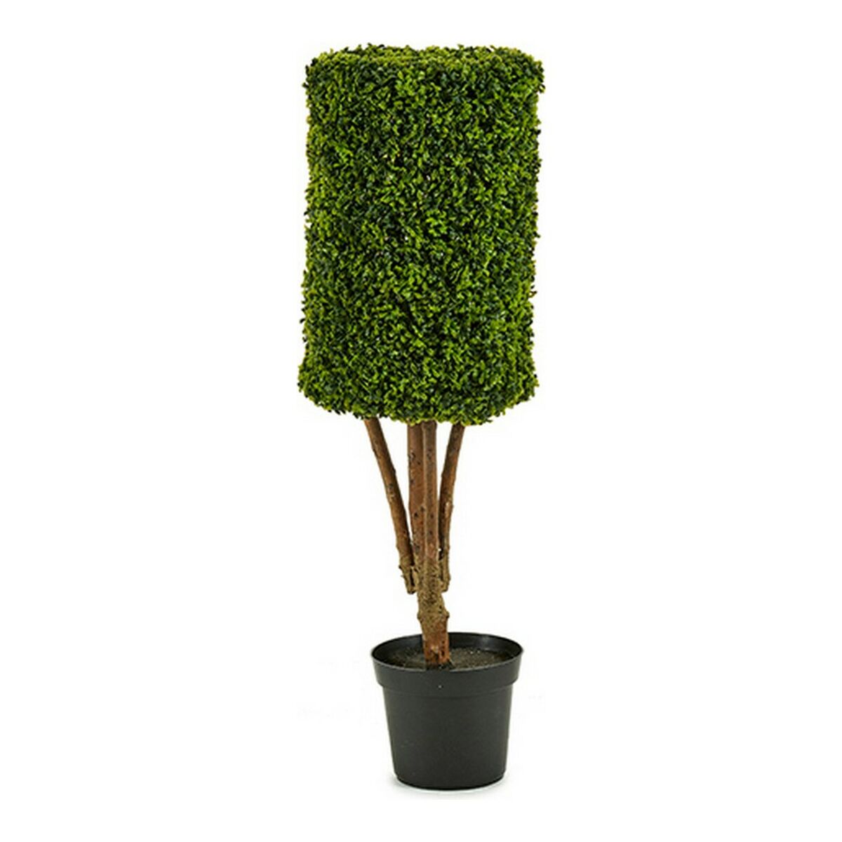 Plantă decorativă Hedge Plastic