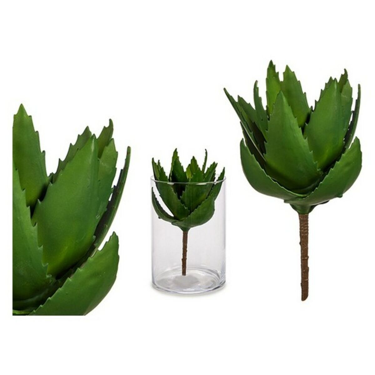 Plantă decorativă Aloe Vera (14 x 23 x 14 cm)
