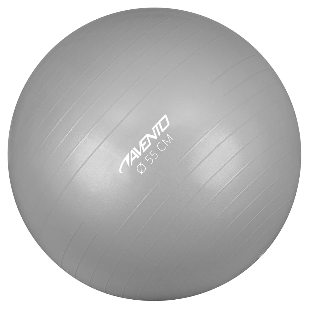 Avento Minge de fitness/gimnastică, argintiu, diam.55 cm