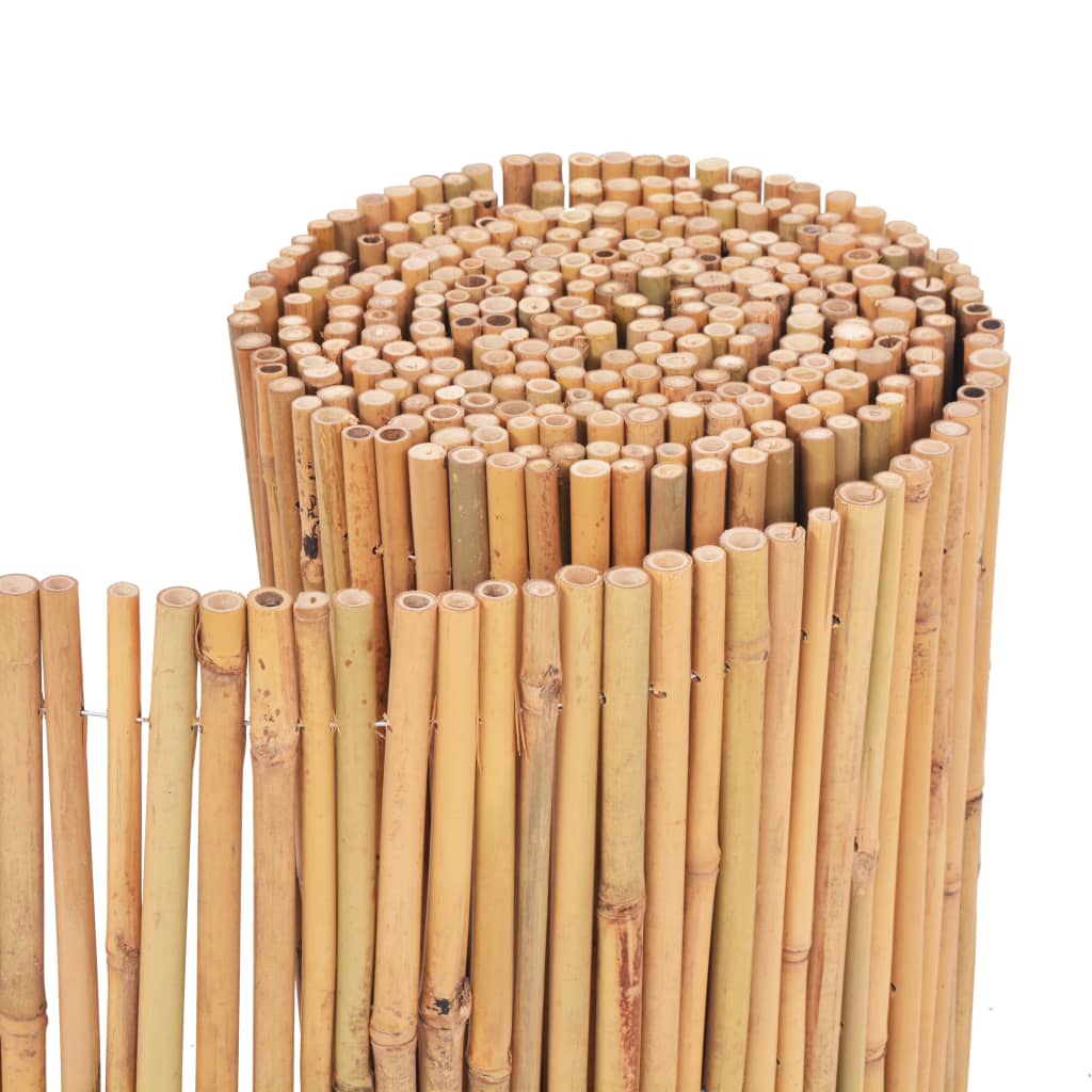 Gard din bambus, 500 x 30 cm