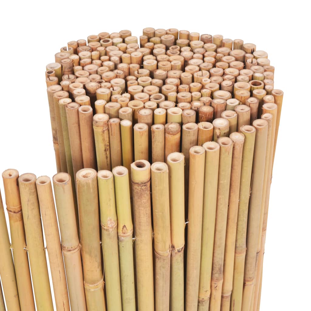 Gard din bambus, 300 x 100 cm